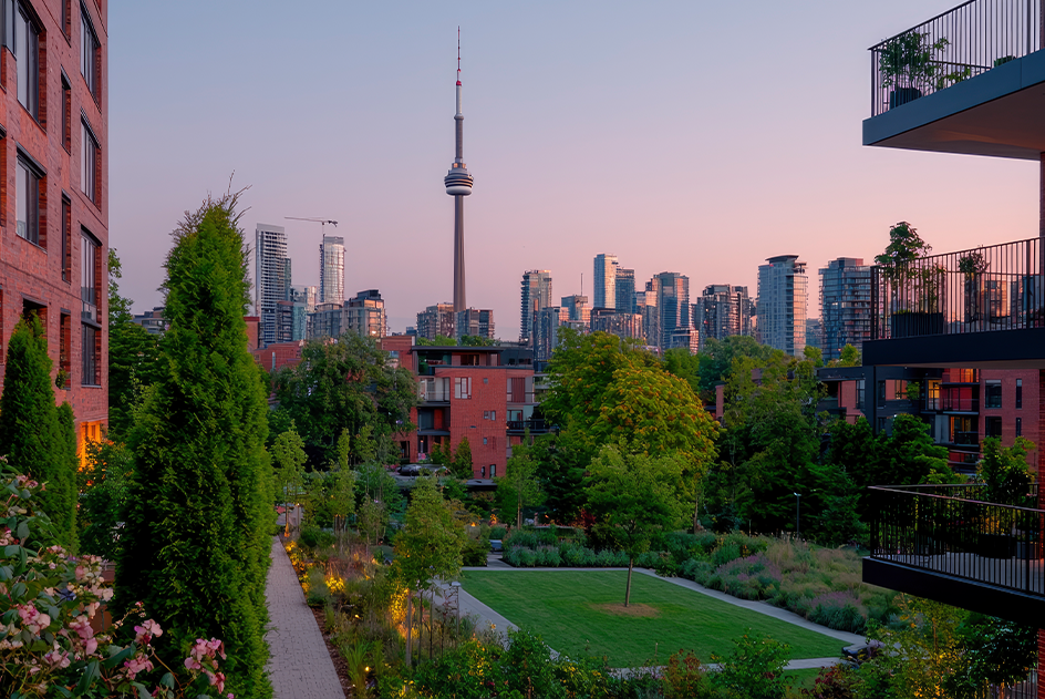 Expert Legal Support for Commercial Condominium Projects